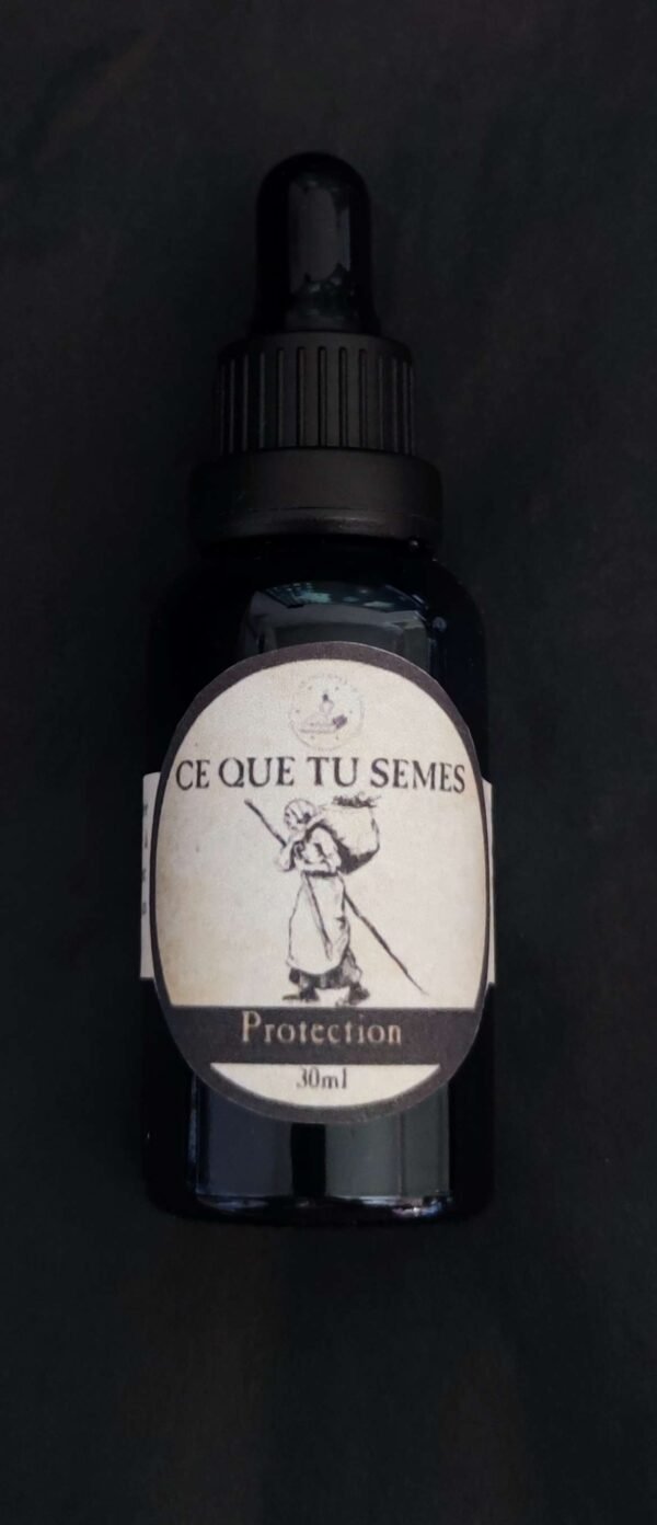 CE QUE TU SEMES